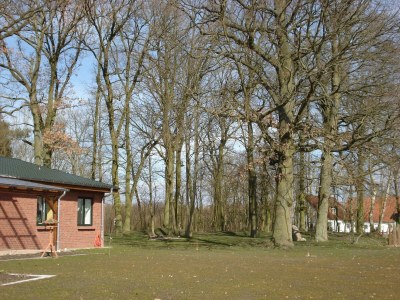 Apartment Wohnung in Zarnewanz nahe Ostsee - Environment photo 18