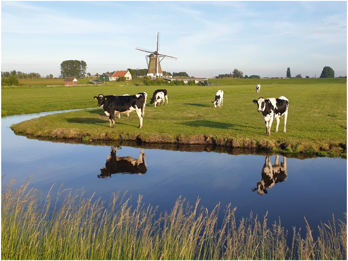 Holiday house Wijde Aa 5 - Outdoor photo 4