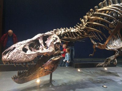 Holiday house Wijde Aa 5 - Environment photo 35