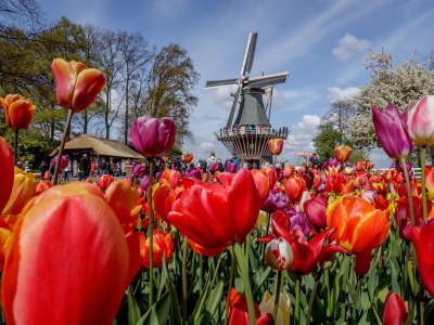 Holiday house Wijde Aa 5 - Environment photo 36