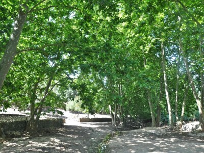 Cottage Mansion in Arta with Private Pool & Terrace - Outdoor photo 14