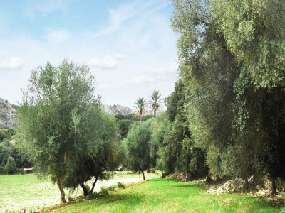 Cottage Mansion in Arta with Private Pool & Terrace - Outdoor photo 16