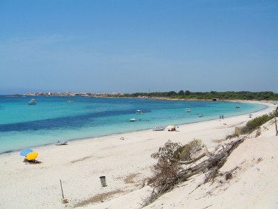 Holiday apartment al Plaza - Environment photo 21