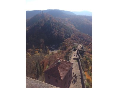 Holiday house Pfälzer Hexenhäuschen (Palatinate Witch's House). - Environment photo 20