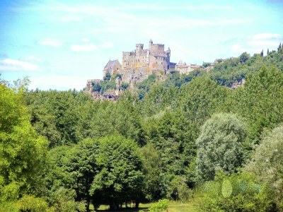 Holiday house Cottage in Vézac near Forest and Lake - Environment photo 20