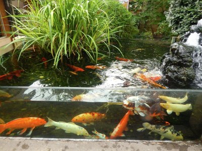 Holiday house Cottage in Vézac near Forest and Lake - Environment photo 32