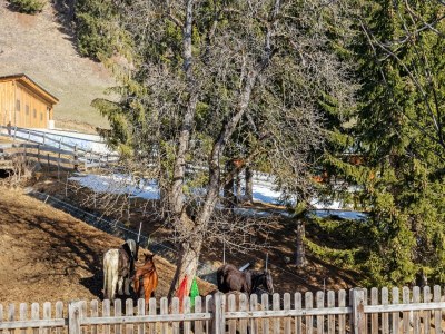 Chalet Chalet in Rangersdorf bei Skipisten - Outdoor photo 7