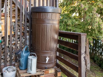 Chalet Chalet in Rangersdorf bei Skipisten - Features photo 25