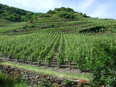 Holiday apartment Feriendomizil Schumann - Environment photo 15