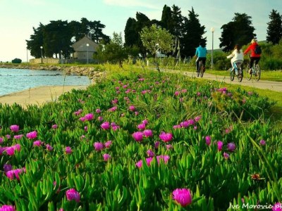 Holiday apartment I. Bolic-Turanj - Outdoor photo 11