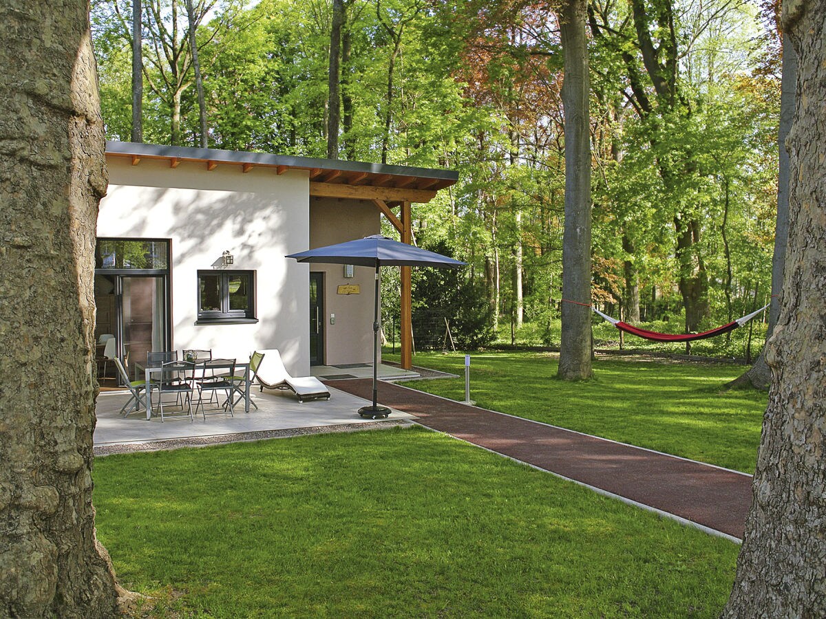 Holiday house Le bois de Robin - Outdoor photo 2