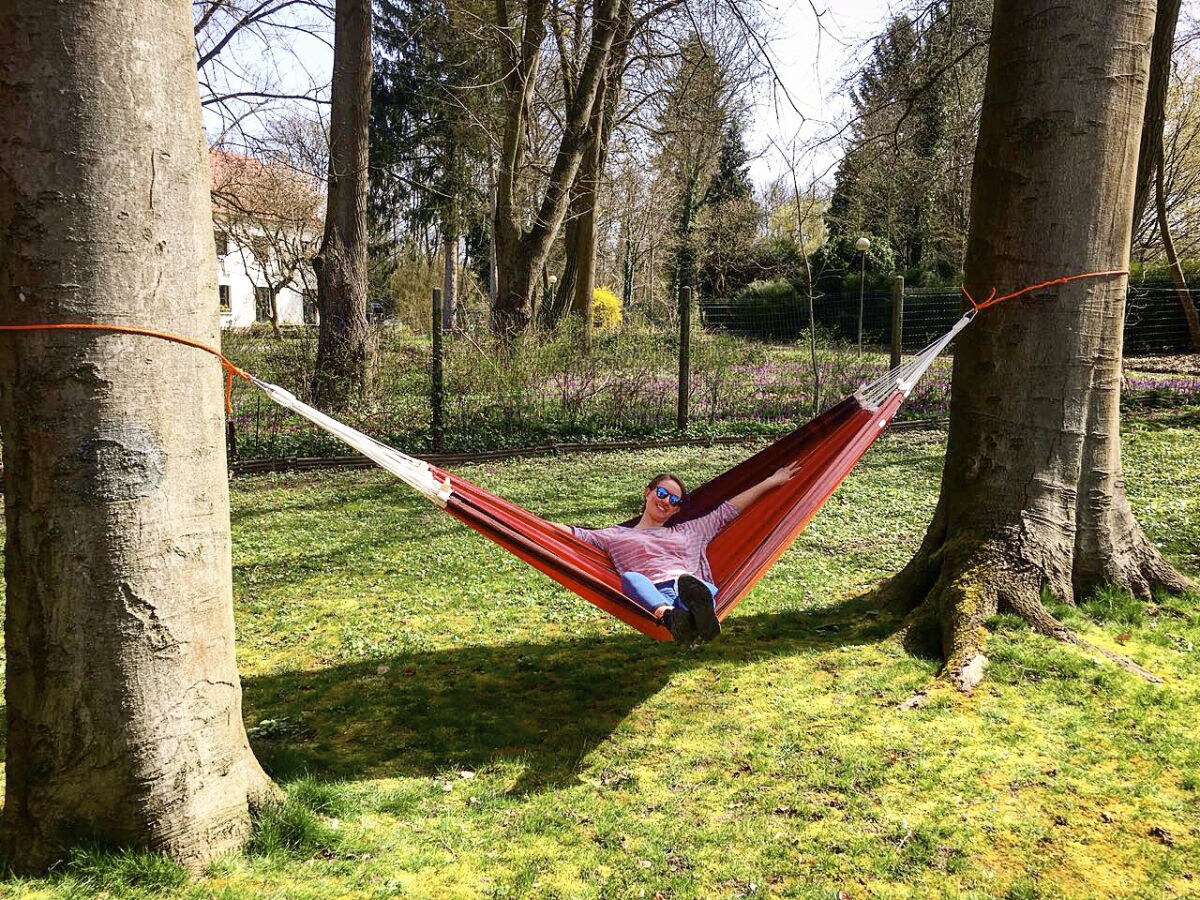 Holiday house Le bois de Robin - Outdoor photo 4