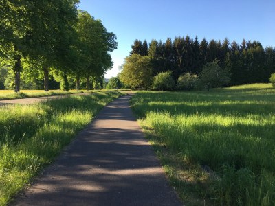 Holiday house Le bois de Robin - Environment photo 20