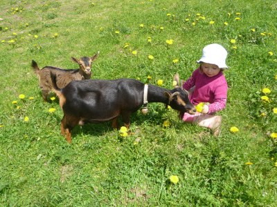 Holiday apartment At HÃ¼tterwirtshof - Environment photo 16