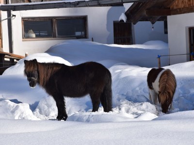 Holiday apartment At HÃ¼tterwirtshof - Environment photo 17