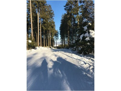 Holiday apartment App. 5 - Environment photo 27