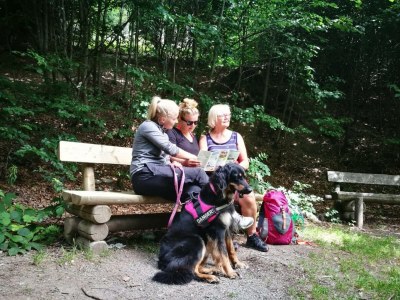 Holiday apartment App. 5 - Environment photo 38