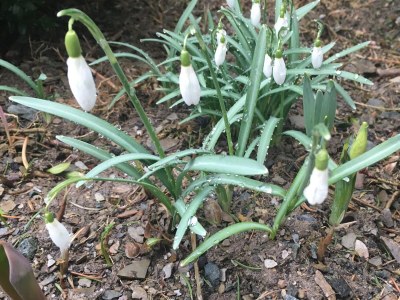 Holiday apartment App. 5 - Environment photo 40