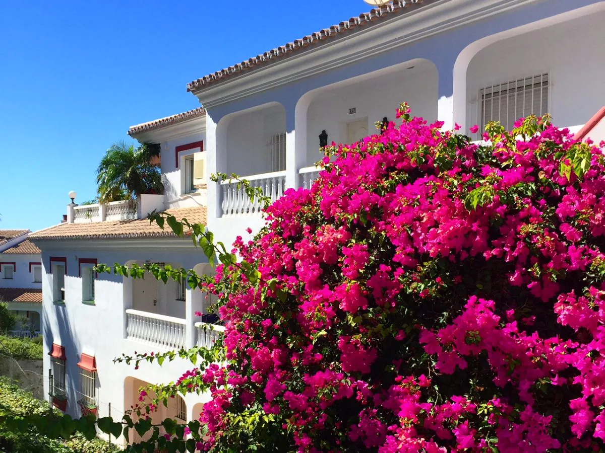 Holiday apartment Apartment Montemar