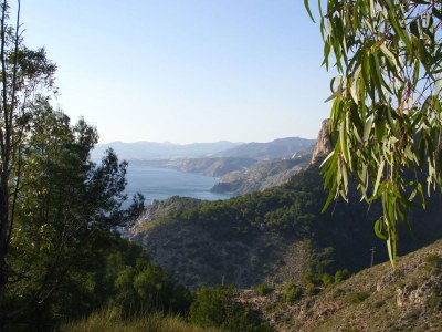 Holiday apartment Apartment Montemar - Environment photo 25