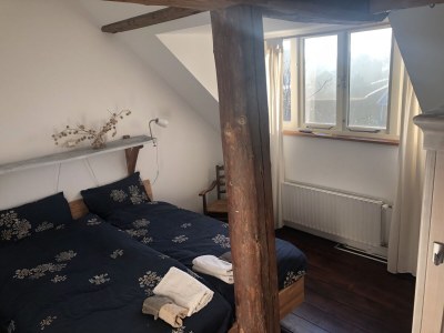 Holiday apartment The Chestnut Tree - Features photo 15