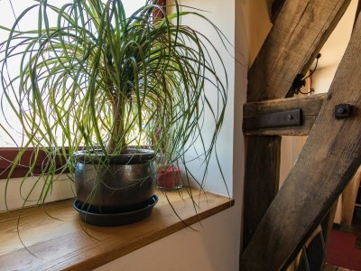 Holiday house Ferienhaus in Altillac mit privatem Pool - Outdoor photo 39