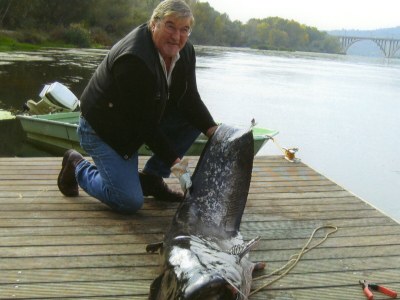 Bungalow Alhambra - Environment photo 20