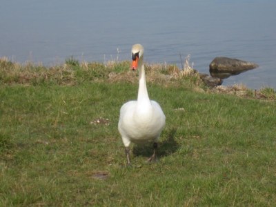 Holiday apartment Stefanie - Environment photo 21