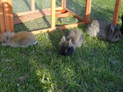 Cottage Schönes Landhaus in Bastorf am Meer - Outdoor photo 3