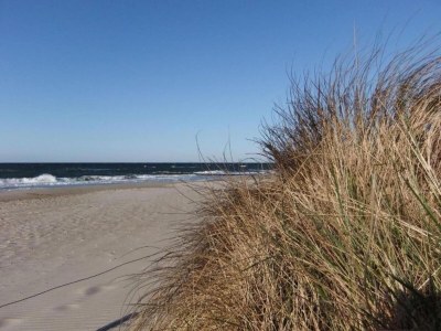 Cottage Schönes Landhaus in Bastorf am Meer - Environment photo 34