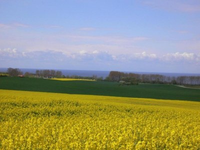 Cottage Schönes Landhaus in Bastorf am Meer - Environment photo 35