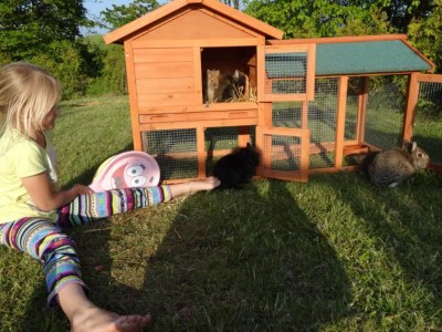 Cottage Schönes Landhaus in Bastorf am Meer - Outdoor photo 38
