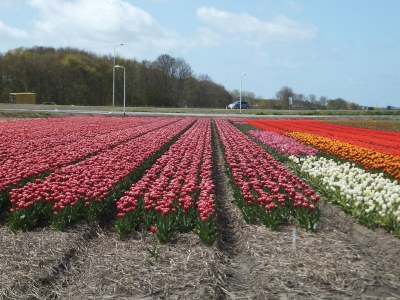 Holiday apartment Callantsoog by the Sea - Environment photo 19