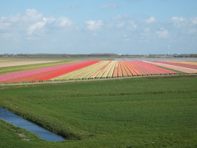 Holiday apartment Callantsoog by the Sea - Environment photo 20