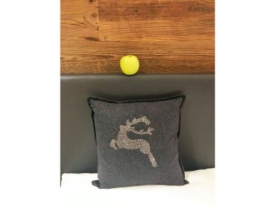 Holiday apartment The View - Alpin suite - Features photo 11