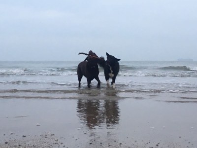 Holiday house BreskensBeachhouse - Environment photo 21