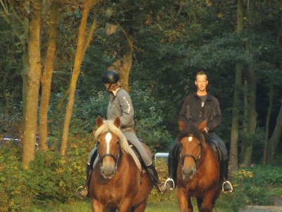 Holiday apartment Duinoord Nr. 9 - Environment photo 21