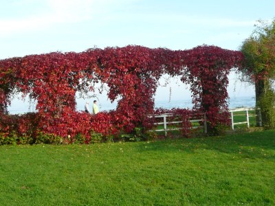 Holiday apartment Komfortferienwohnung Nr. 204 in Sassnitz - Environment photo 36