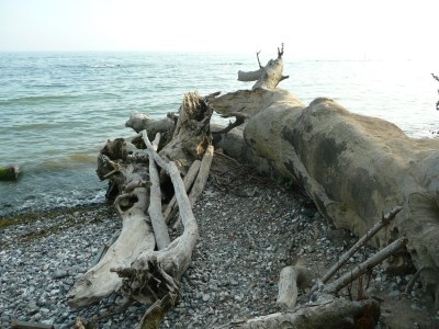 Holiday apartment Komfortferienwohnung Nr. 204 in Sassnitz - Environment photo 37