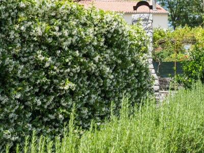 Villa Villa Antiqua - Outdoor photo 10