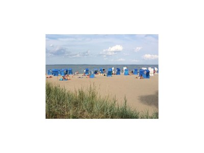 Apartment Lagoon Forest Family Retreat - Environment photo 22