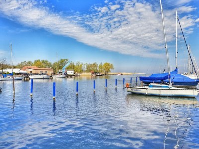 Apartment Lagoon Forest Family Retreat - Environment photo 28