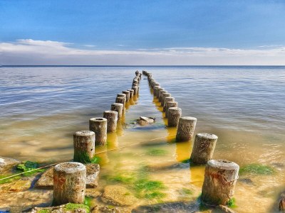 Apartment Lagoon Forest Family Retreat - Environment photo 29