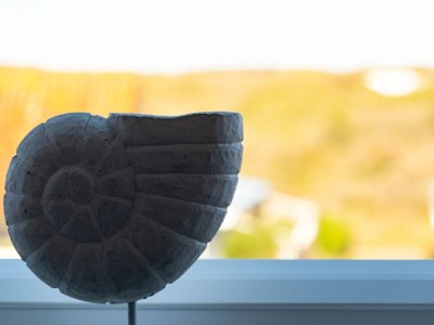 Holiday apartment Wehmeyer-Collesser - Features photo 13