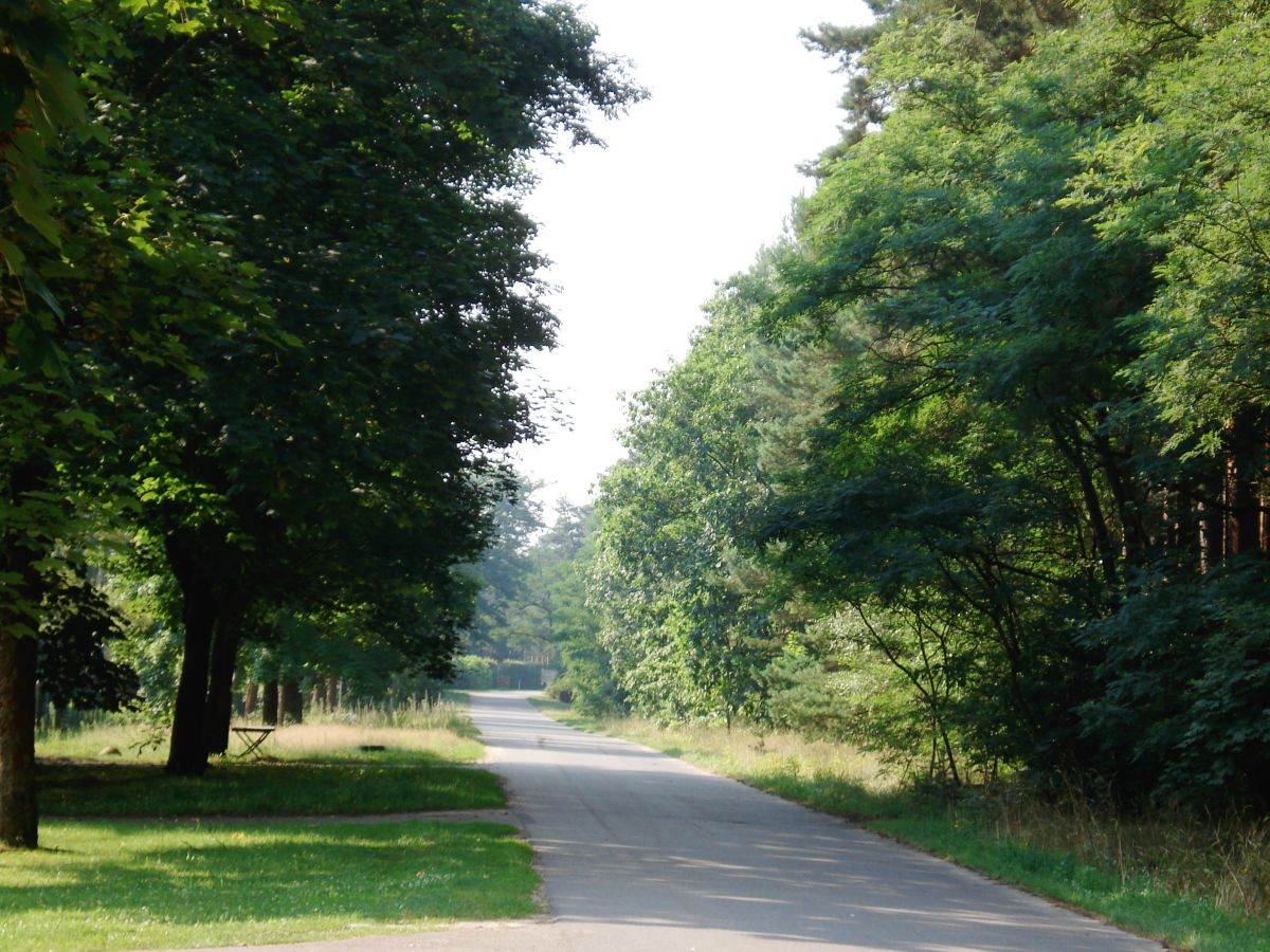 Holiday apartment Appel - Outdoor photo 2
