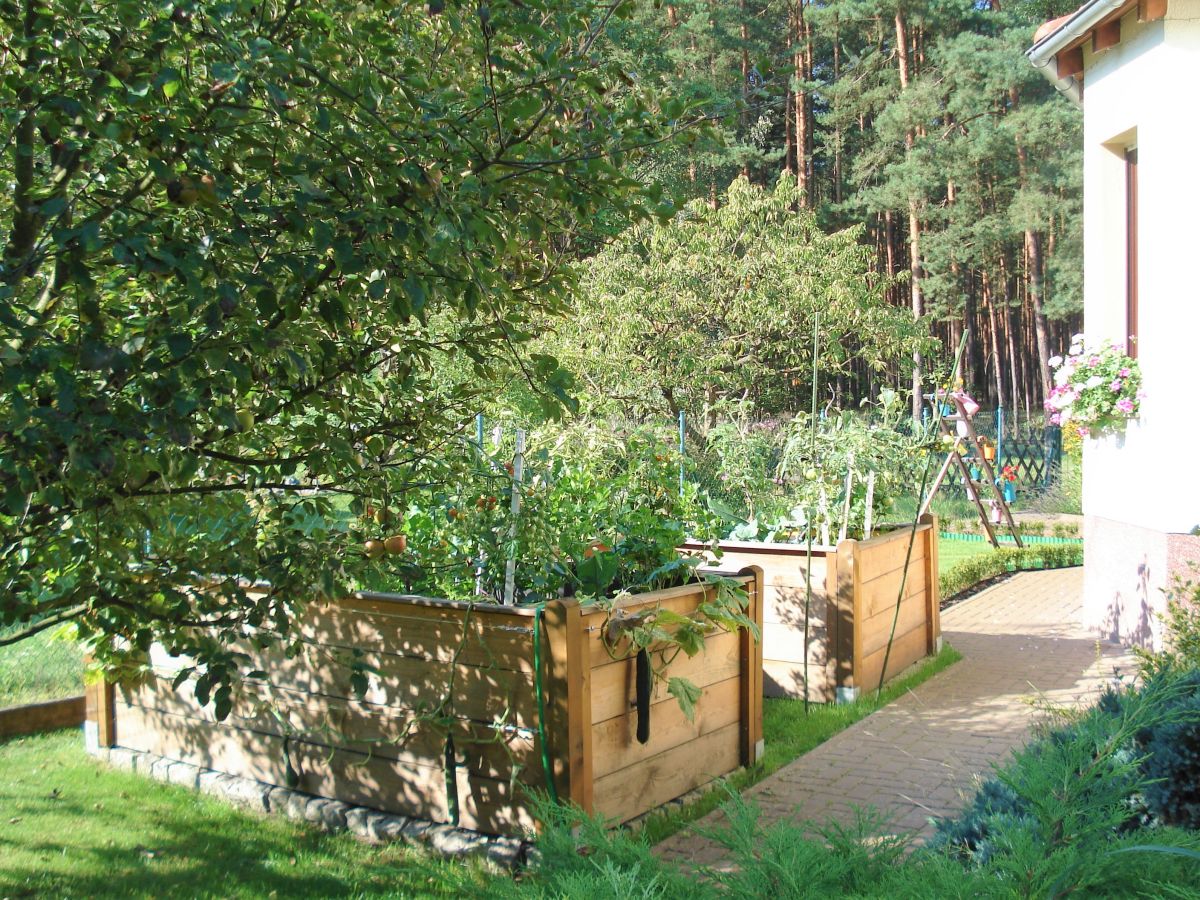 Holiday apartment Appel - Outdoor photo 4