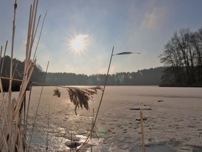 Holiday apartment Appel - Environment photo 18