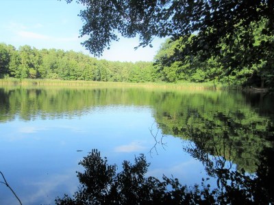 Holiday apartment Appel - Environment photo 19