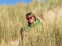 A. und W. Giebichenstein