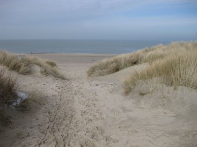 Holiday house North Sea Villa Zeeland - Environment photo 30